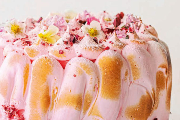 20-dampfgegarter-lachs-mit-gemuese