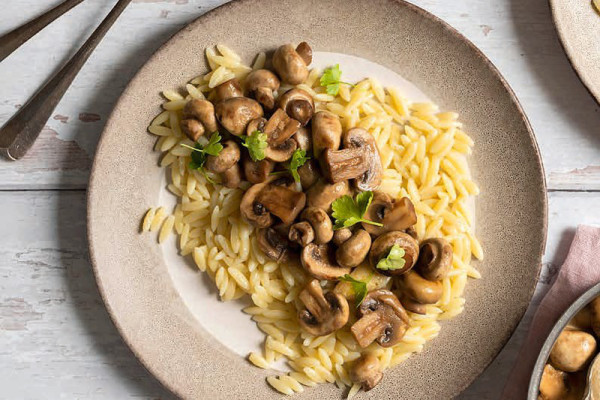 47-orzo-mit-champignons