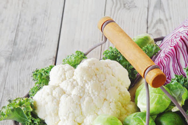 12-spitzkohl-minz-hummus-mit-radieschen