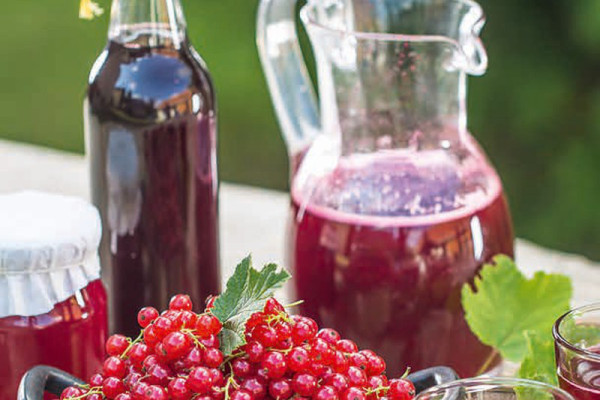 38-fruchtsaft-selbst-gemacht
