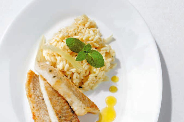 39-knurrhahn-auf-fenchel-risotto